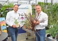 Jeroen Persoon and Tim Hoeksema of Evanthia. Jeroen with the Eucalyptus Citriodora, not only relieves the airways, also repels mosquitoes. Citriodora is part of a series of 12 species. Tim with the Cordyline Redstar, also part of a series of 12, exclusive species.